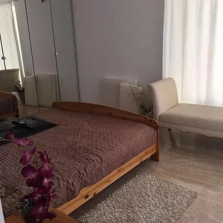 The House Villa *